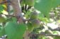 20170517_095147_resized