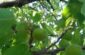 20170517_095206_resized