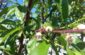 20170517_095456_resized