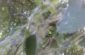 20170524_090634