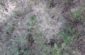 20170524_090721
