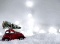 Ялинка на свята: яка відповідальність за незаконний зруб