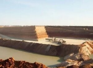 Україна не просто виживає, вона будує майбутнє